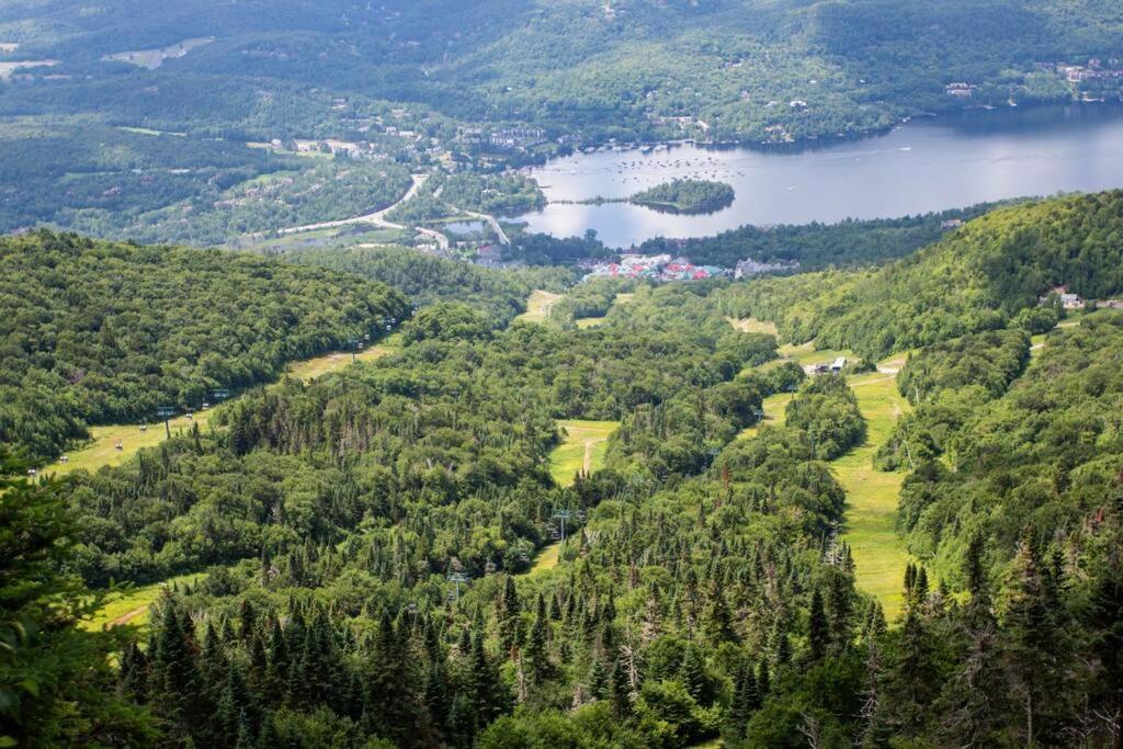 Apartmán The Alpine Nest - 3 Beds - 4 Guests - Free Parking - Pool Mont-Tremblant Exteriér fotografie